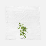 Cannabis Tea Towel - Vintage Botanical Illustration